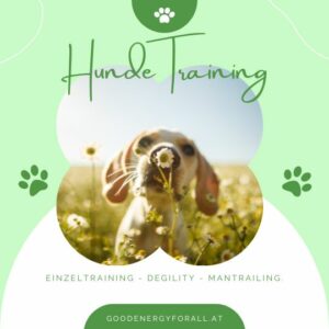 Hundetraining bei GoodEnergy4All mit Degility, Einzeltraining und ManTrailing.